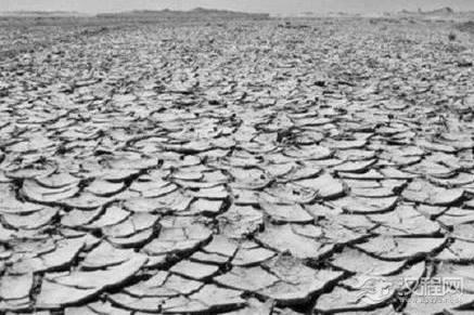 古代饥荒为什么不去河里抓鱼 而是偏偏选择等着被饿死