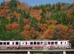 揭秘全世界最慢的火车:雪龟号究竟开多慢!