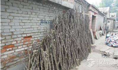 古代拿来当工资用的木头 如今遍地都是很十分的便宜