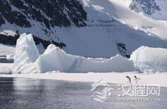南冰洋的神秘音波终被破解:神秘源头竟是它
