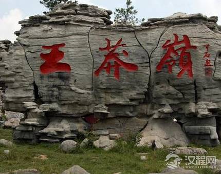 王莽篡汉按道理来说刘氏皇室肯定反对 他们当时为何发出没有一点声音