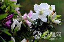 揭秘：清明时节“烧纸钱”竟然是一个千年大骗局