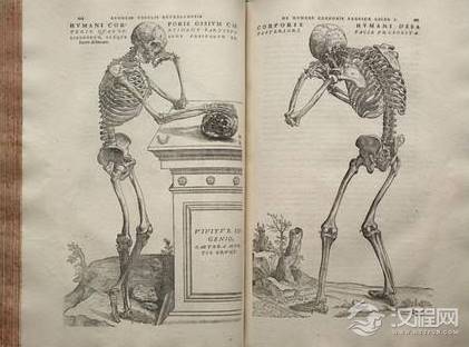 关于王清任的评价是怎样的？他是解剖第一人吗