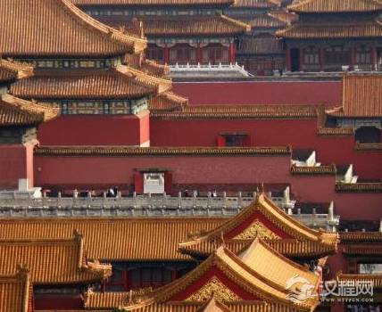 故宫为何要养这么多猫呢 为什么一养就持续了300年之久呢