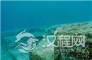 海底金字塔是谁创造?外星人还是海底智慧生物