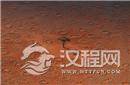 非洲荒漠现神秘“精灵怪圈” 疑似UFO降落点