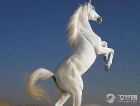 凡是骑过的卢马的人都死了 为何只有刘备是一个例外