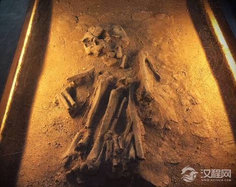 半坡人是最早种植粟的吗？半坡人平时都是吃什么