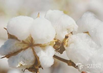 在没有棉被之前的冬天,古人是怎么度过的