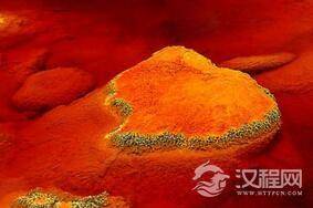 粉色姐妹花：探索美丽“锈玫瑰”湖与红酒河