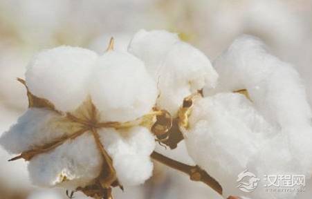 在没有空调的古代 古人睡觉都用什么保暖