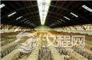 秦始皇陵为何到现在还不能动土?真相令人感叹