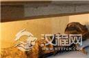 未解之谜:千年木乃伊竟是身穿女装的男孩!