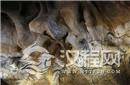 3.6万年肖维岩洞穴壁画复制品曝光 精美绝伦
