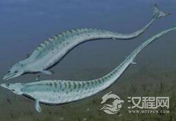 陆地动物是怎样从海洋动物进化过来的吗