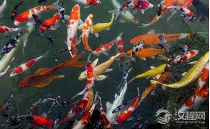 唐朝时老虎为什么被称作大虫？是犯了谁的避讳吗