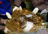 海昏侯墓主：汉武帝之孙刘贺 遗骸腰部见玉印