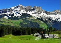 阿尔卑斯山的神秘“血脚印”到底是什么?