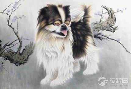 古代没有狂犬疫苗 古人被狗咬又是怎么处理的