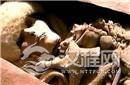 丝绸之路上出现神秘木乃伊真的有彭加禾吗?