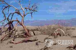 至今未解：意大利死亡谷只“杀”飞禽走兽