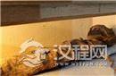 揭秘埃及奇怪木乃伊：竟是男扮女装