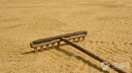 古代穷人一般吃什么？你可能想都想不到