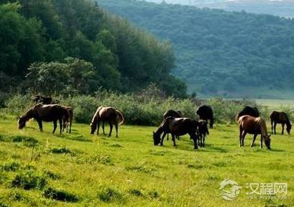 他虽是养马人却继承了一块土地 最后这个国家统一了天下