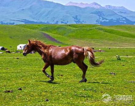古代相对于八百里加急而言 四百里和六百里的区别在什么地方