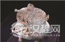3000年前商朝呆萌文物 外形酷似愤怒的小鸟！