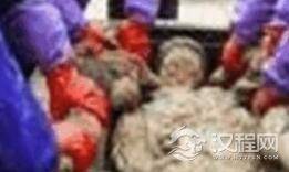 千年古墓竟挖出女活人? 汉代女尸不腐之谜!