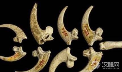 尼安德特人有着怎样的生活习性？他们会吃自己的同伴吗