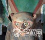 敦煌1400年猴子像面世：手捧仙桃全身通红