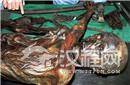 冰人奥兹的伤口：死前头部曾受挫伤