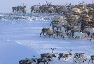 当初的西伯利亚就像白给的一样 为什么清朝没有向此地扩张呢