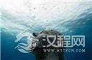世界未解之谜 神秘海底人竟是玛雅人?