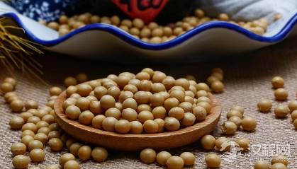 古人做菜时用的都是什么油料呢 一般都放什么油呢