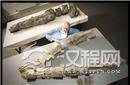 揭秘英发现史前最可怕海洋巨兽头骨 满口利牙