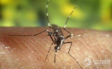 宋朝最奇葩的刑罚之一，刑具竟然是“蚊子”