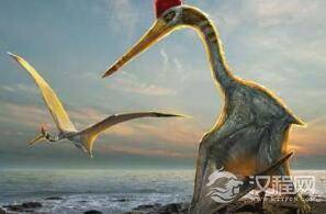 翼龙化石被发现：神似阿凡达飞行坐骑