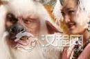 揭秘：《西游记》中人脉最广的妖怪是哪位？