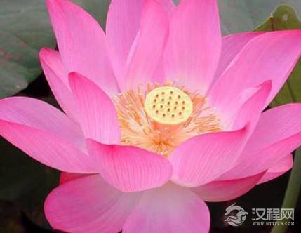 盘点商君书中十句经典话语 君子有过亦不必言