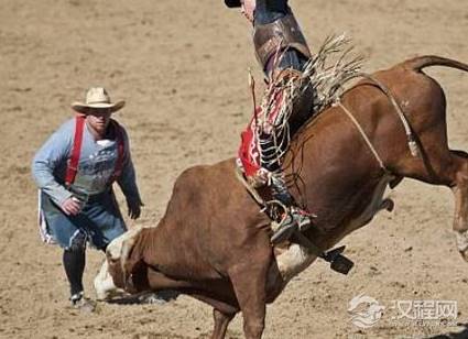 牛一点也不必马差劲 古代为什么没有骑牛打仗的部队