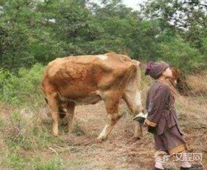 朱元璋早年给地主刘德放牛 朱元璋当上皇帝之后是怎么对待当初的地主的