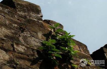 紫薇大帝在人间的地位如何 为什么百姓会对他如此的崇拜呢