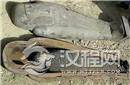 木乃伊发出心脏跳动声 专家解剖后愣在原地不动