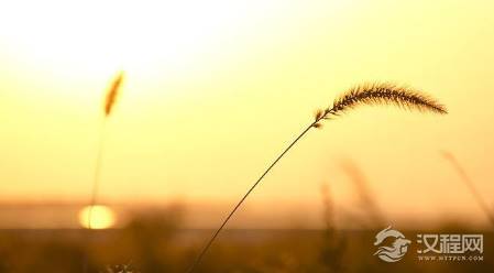 黄庭坚不出名的一首诗，却富含丰富哲理