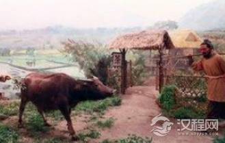 为何战国七雄打了数百年都不缺粮食？