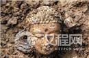 曹操生前陪葬品竟是巨型佛像?其中有何隐情