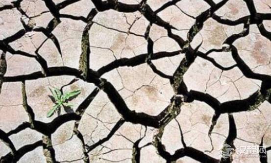 乾隆8年被称“史上最热夏季”，当时到底有多热？